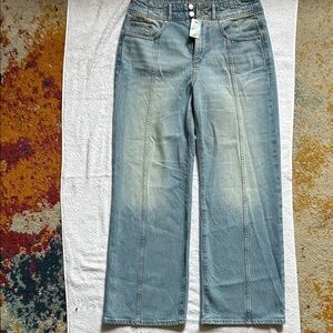 LOFT Sky Blue Wideleg Women's Jeans